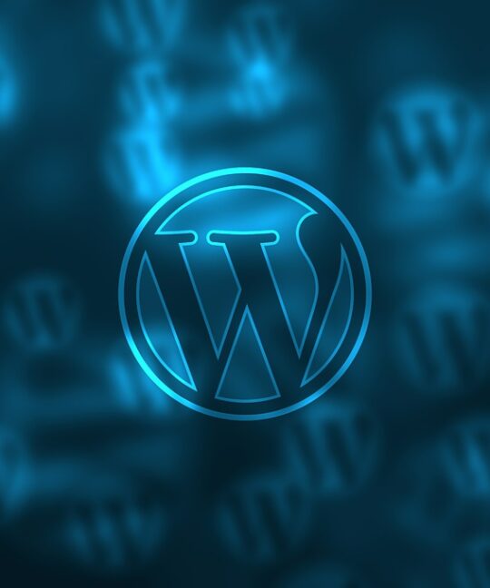 WordPress tips for new bloggers